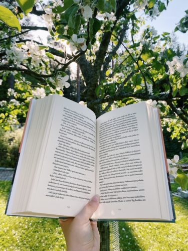 Kirja ja puu