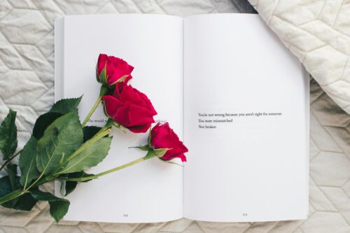 kirja, punaisia ruusuja